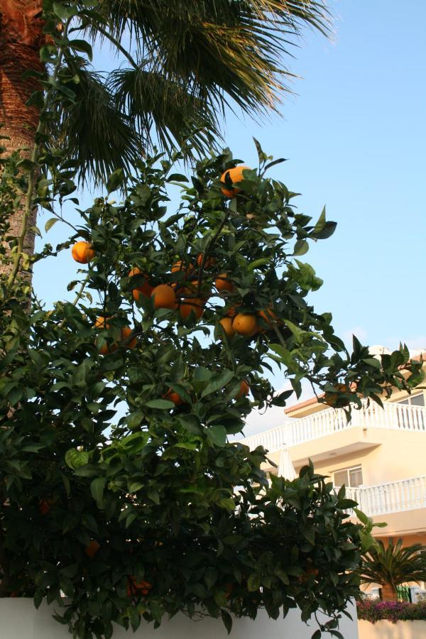 Nissi Villa Ayia Napa Esterno foto